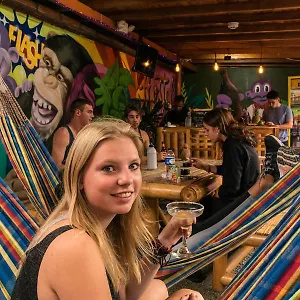 Purple Monkey , Medellín Colombia